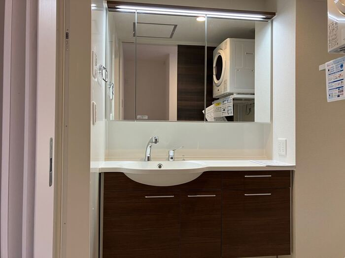 泉大津市東豊中町２丁目のハイツの独立洗面台|ゆったりとスペースのある洗面所