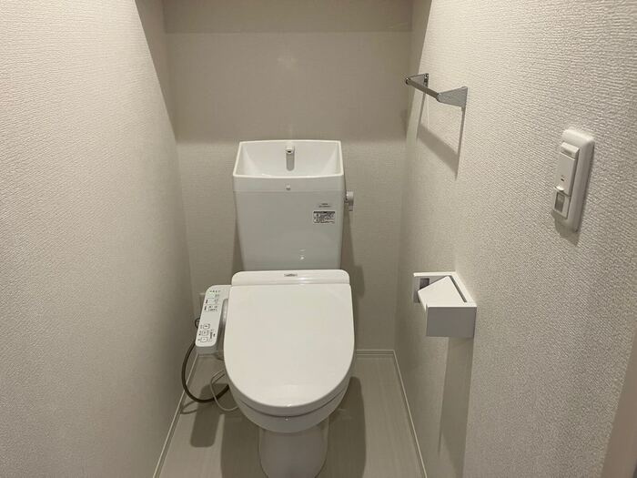 泉大津市東豊中町２丁目のハイツのトイレ|トイレです