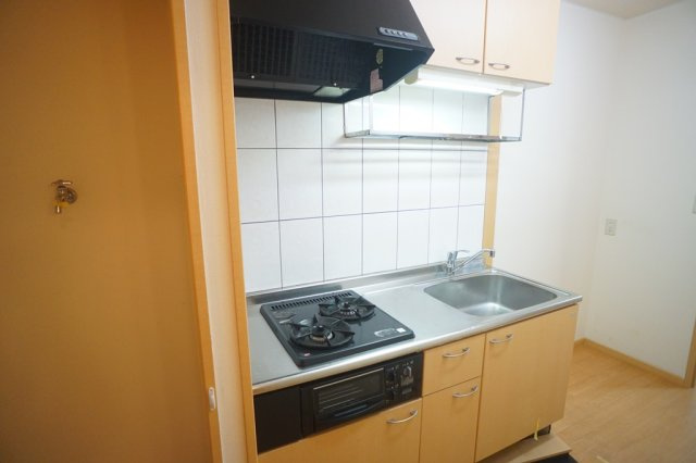 レオ・グランドメゾンのキッチン