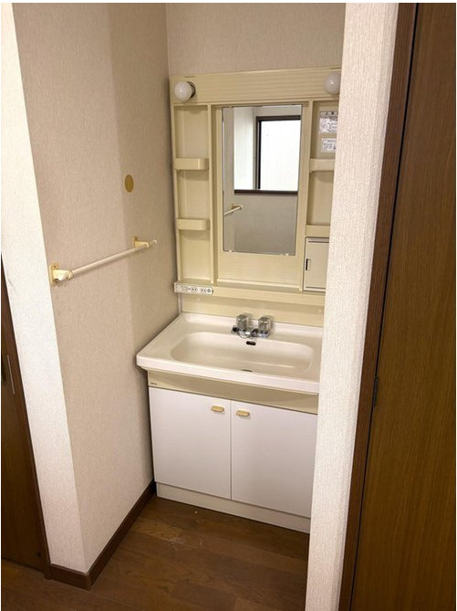 野田市春日町　中古戸建　平成10年築の独立洗面台