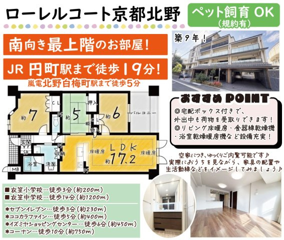 ローレルコート京都北野の間取り