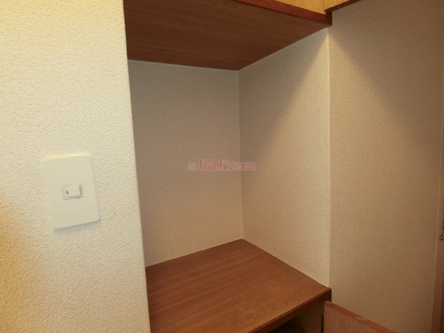 グランカーサ清蘭の収納|小物を収納するのに便利です