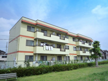 グリーンフィールズの画像