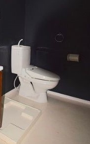 【トイレ】 | ドリームライン