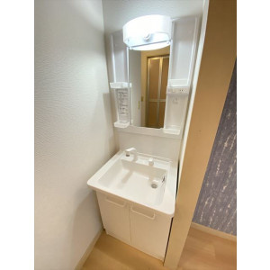 フレグランスシスルの洗面所