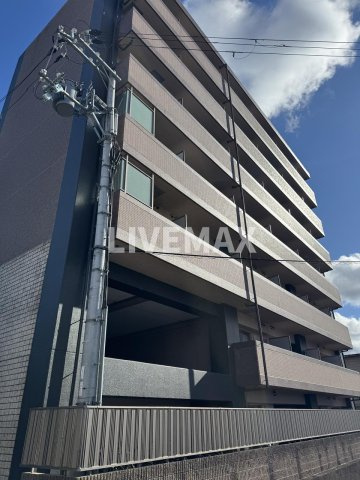 ティムール九条の画像