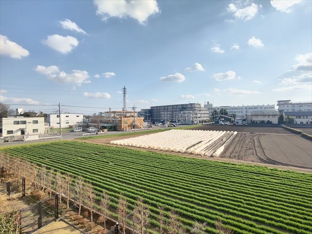 【展望】の画像