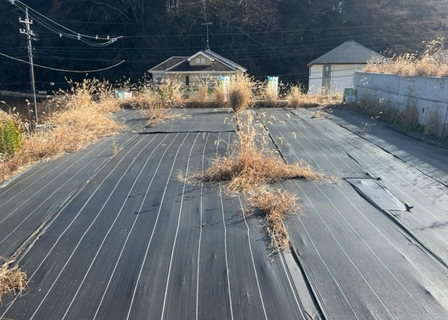 【外観】 | 家を建てる前提で土地を探している場合、地盤の丈夫さは譲れない条件の一つです。地盤が脆弱だと追加工事が必要となります。また、過去に地盤沈下や液状化現象を起こした土地は、できるだけ避けた方がいいでしょう。