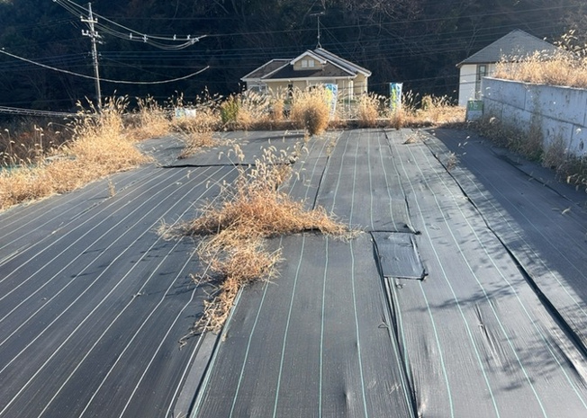 【外観】 | 人が暮らすうえで日光は大切な要素となります。日当たりの良さは譲れないポイントですね。併せて近くに大きな建築物の建築予定がないか、あるいはそれが可能な土地が近くにないか事前に確認することもお勧めします。