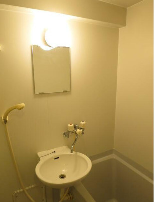 エスコート代田橋の洗面所