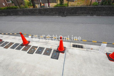 【展望】 | F MIRAI DOLLY