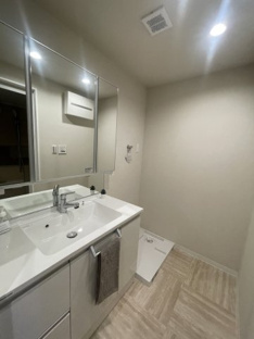 【独立洗面台】ナポレ開成山公園 