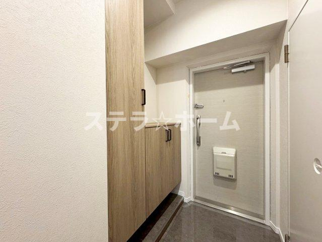 日商岩井グリーンサイドマンションの玄関|収納もある玄関です