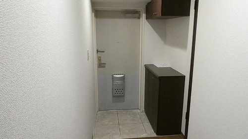 ライオンズマンション淵野辺駅前の玄関|玄関　内装後