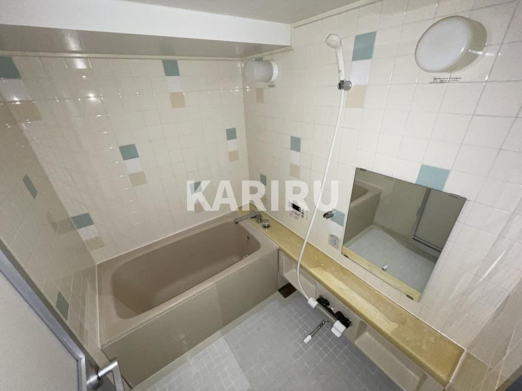 セイワパレス四天王寺の浴室