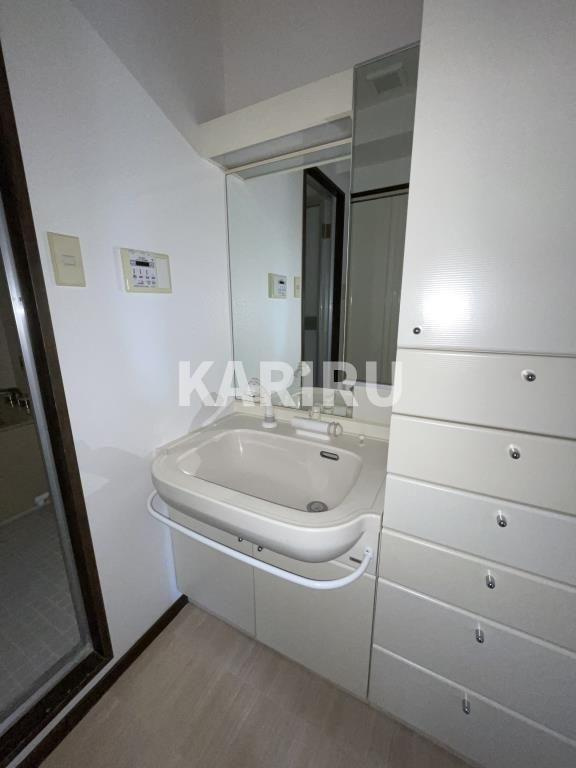 セイワパレス四天王寺の洗面所