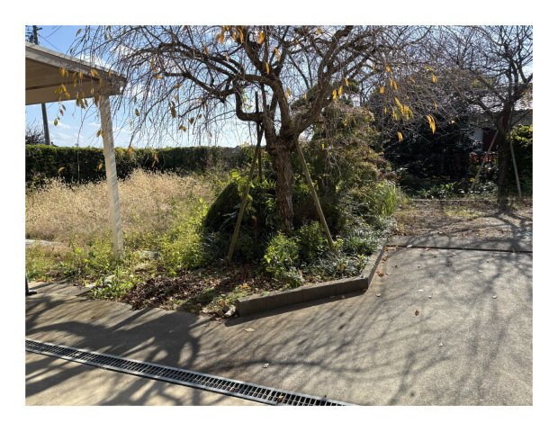 ニイジマ事務所の庭|お庭です