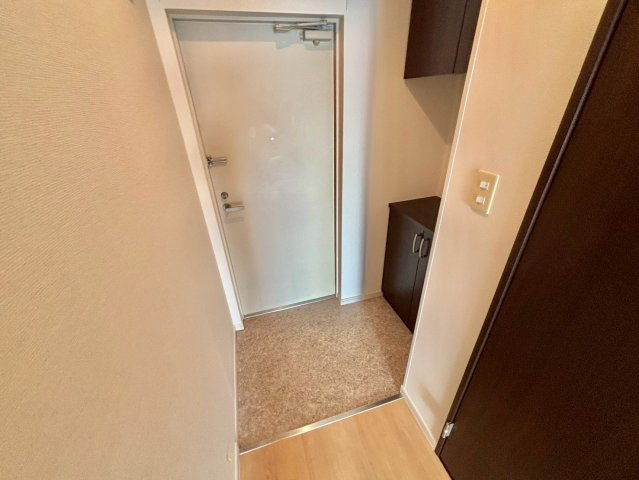 ルミナスコート安田の玄関