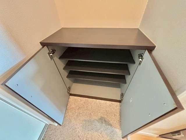 ルミナスコート安田の玄関