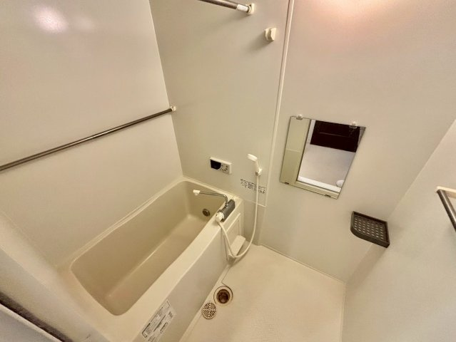 ルミナスコート安田の浴室