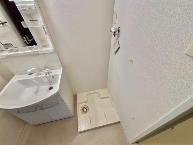 ルミナスコート安田の洗面所