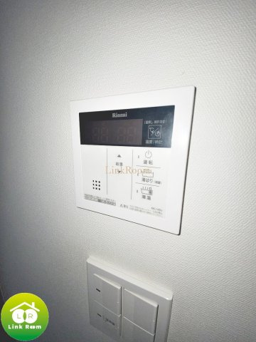 ドムス・スタイル両国のその他