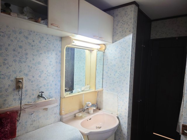 売中古戸建　藤枝市南新屋の独立洗面台|洗面所にも収納がたっぷり！