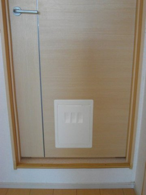 【その他】 | レイクパレット