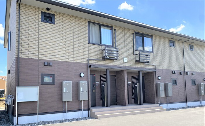 キキョウK.T／ツバキK.T　ツバキK.T