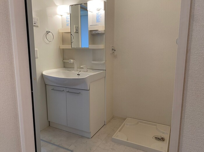 プラム　F棟の洗面所