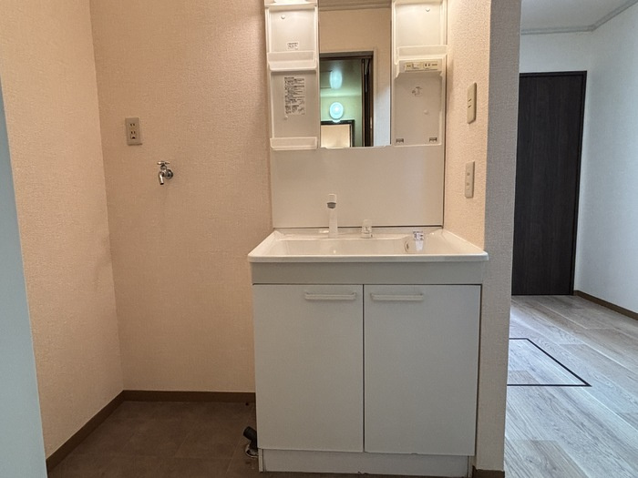 セジュールＭ２の洗面所