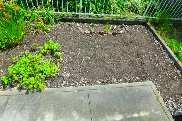 ハイツボニータの庭