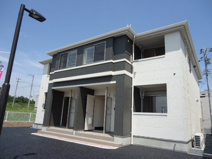 シャンピア（Shannpia）の画像