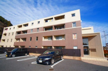 ティン・グローブⅢの画像