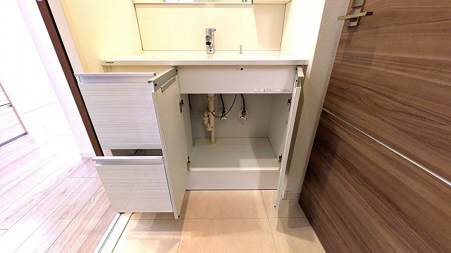 シャンボール大森の独立洗面台