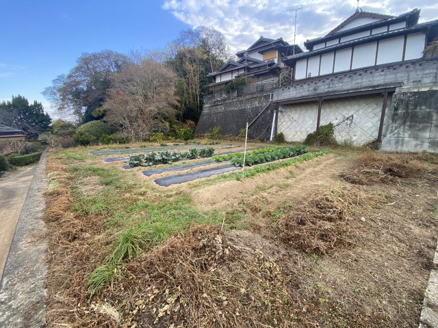 【前面道路含む現地写真】 | 玉名市向津留