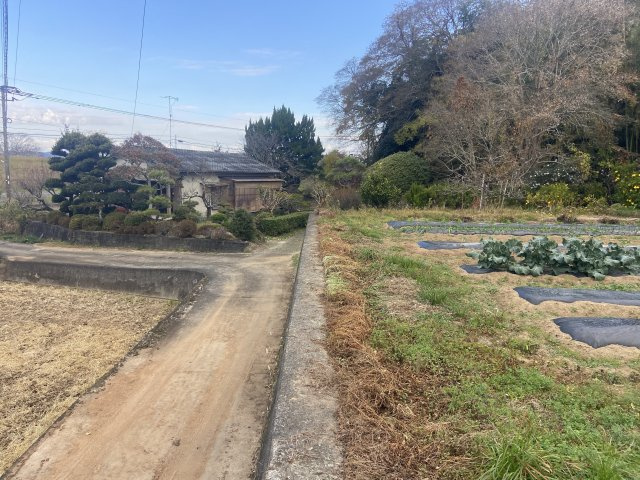 【前面道路含む現地写真】 | 玉名市向津留