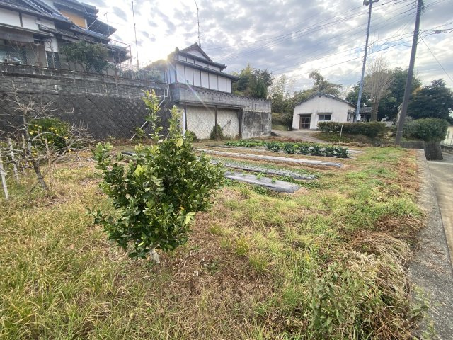 【前面道路含む現地写真】 | 玉名市向津留