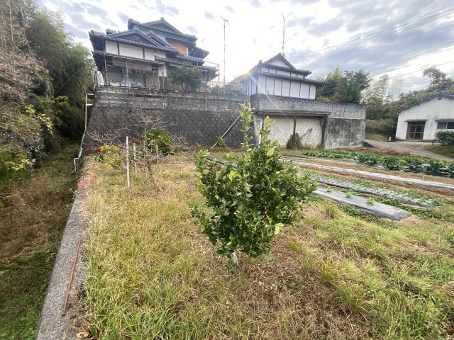 【前面道路含む現地写真】 | 玉名市向津留