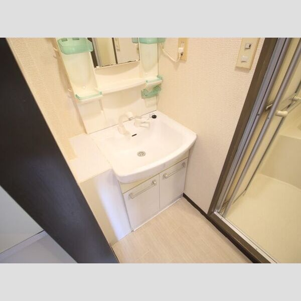 ハイツ大蔵の洗面所