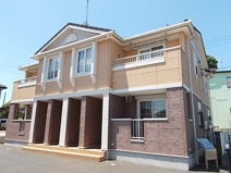 ワイズ　コンフォートの画像