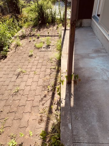 エコーハイツのバルコニー