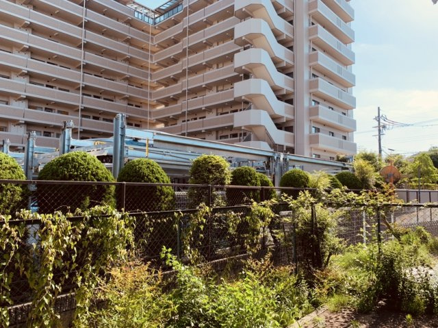 エコーハイツの展望