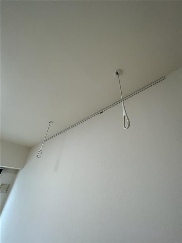 シルヴァー アウル