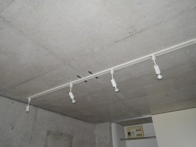 川崎市多摩区菅稲田堤２丁目の賃貸マンションのエントランス|照明付（他室参照）