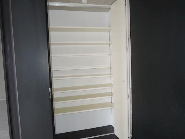 川崎市多摩区菅稲田堤２丁目の賃貸マンションの収納