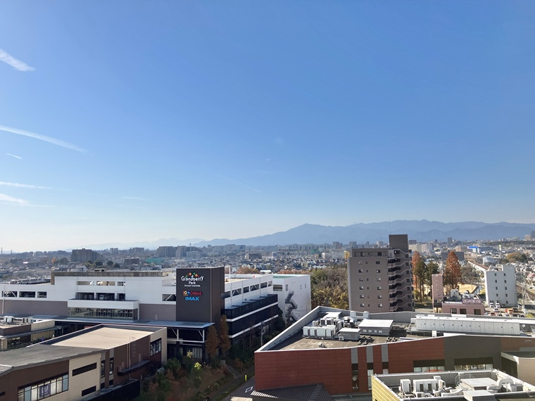 ドレッセタワー南町田グランベリーパークの展望