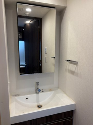 【洗面所】 | リビオメゾン戸越銀座 | 別部屋参考写真