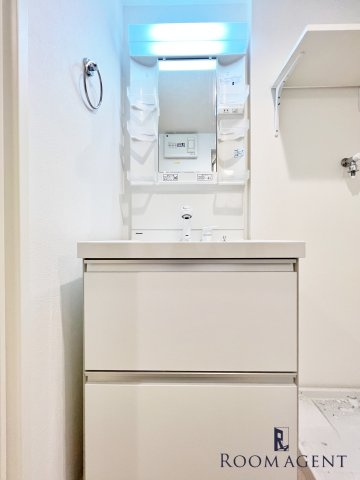 ダフォディルの洗面所