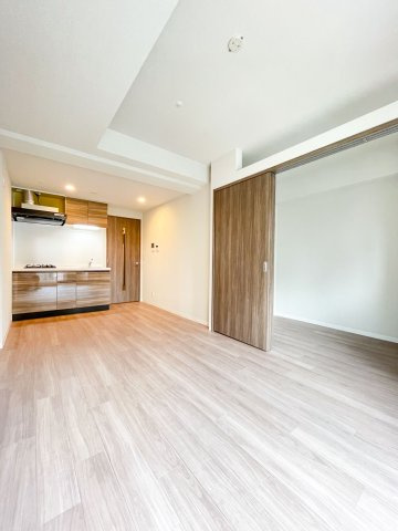 ミラージュパレス難波グランツの居間・リビング